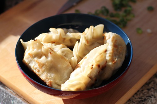 gyoza