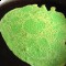 Kueh dadar - first attempt